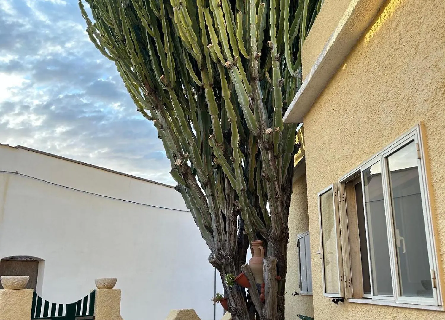 Casa Euphorbia contacts