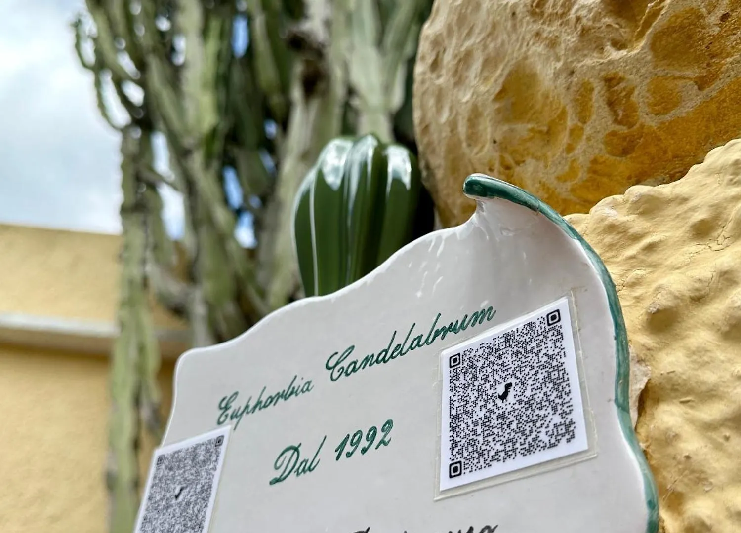 Casa Euphorbia Villa Portoscuso